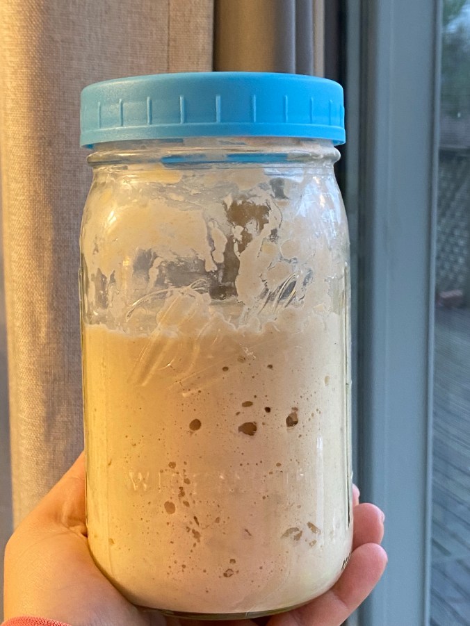 No Waste, 2 ingredient Sourdough Starter Recipe | 7-Day Step by&nbsp;Step