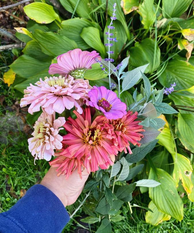 Deer Resistant Cottage&nbsp;Garden