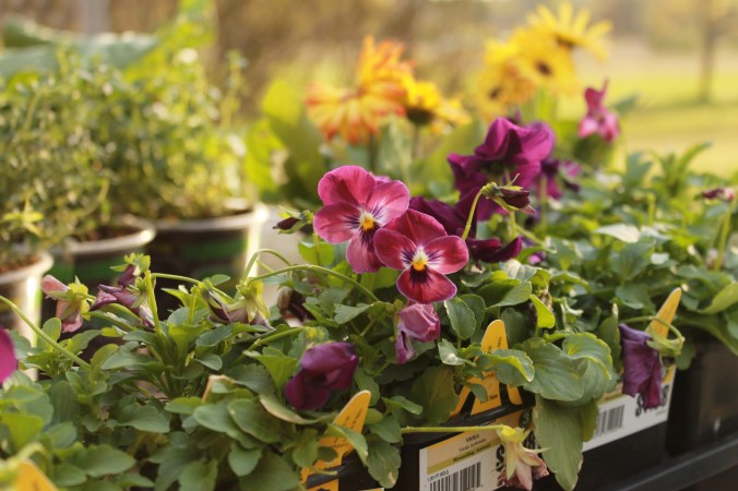 This Week: Coupon Code & Deep Cleaning Before garden season&nbsp;starts