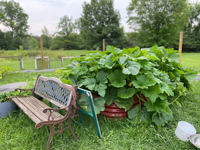 Garden Method Overview: Raised Beds | Traditional, Container, and Hügelkultur&nbsp;Hills
