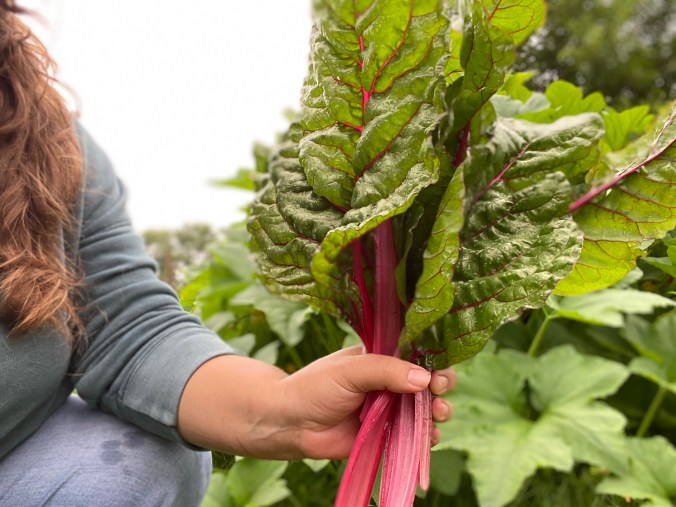 3 Tips to Save Space in a&nbsp;Garden