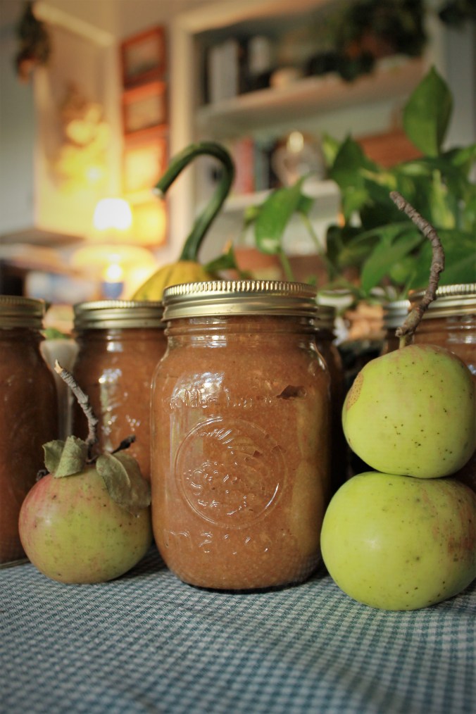 Spiced Applesauce | Water Bath&nbsp;Canning