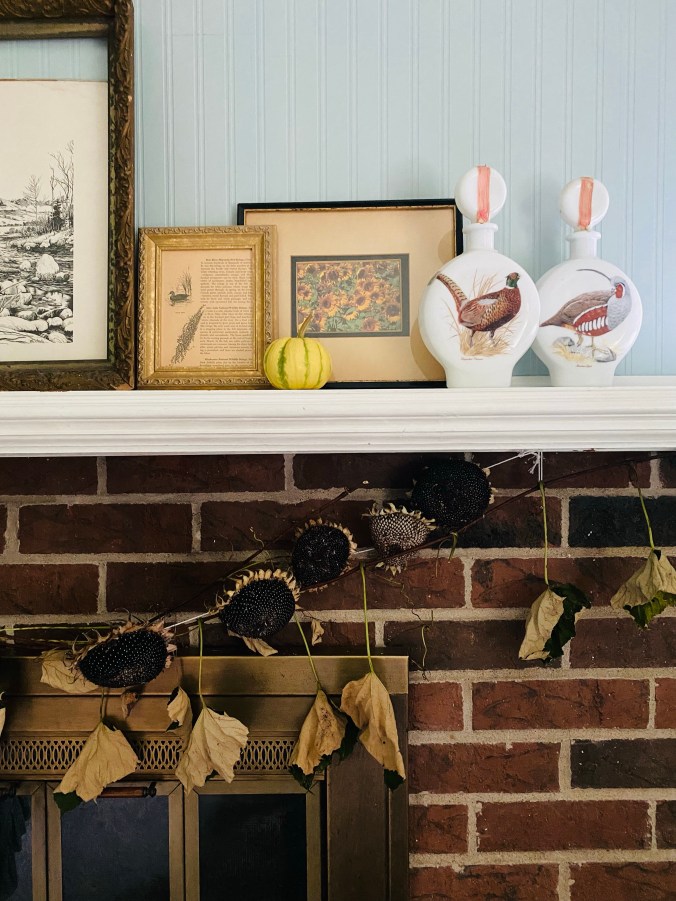 Autumn Decorating | What to Grow at&nbsp;Home