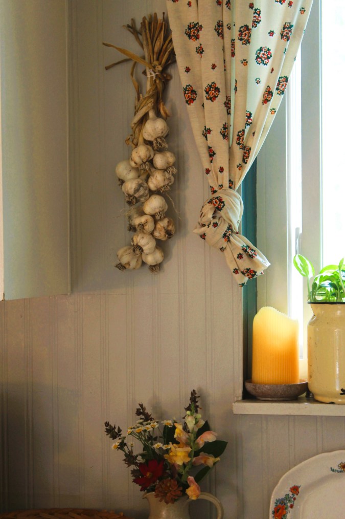 What to Plant After the Garlic Harvest | Polyculture Vegetable&nbsp;Gardens