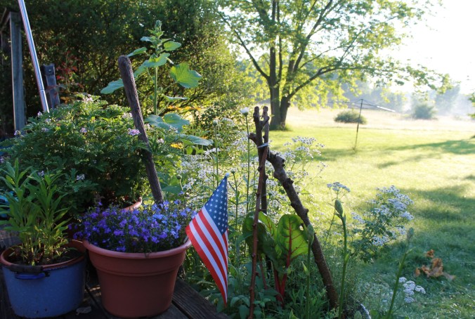 End of Summer: Next year’s Garden can start&nbsp;now!