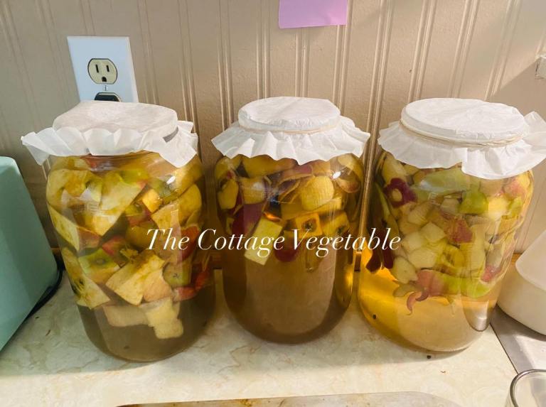 Homemade Apple Cider Vinegar | Easy Fermenting | The Cottage Vegetable