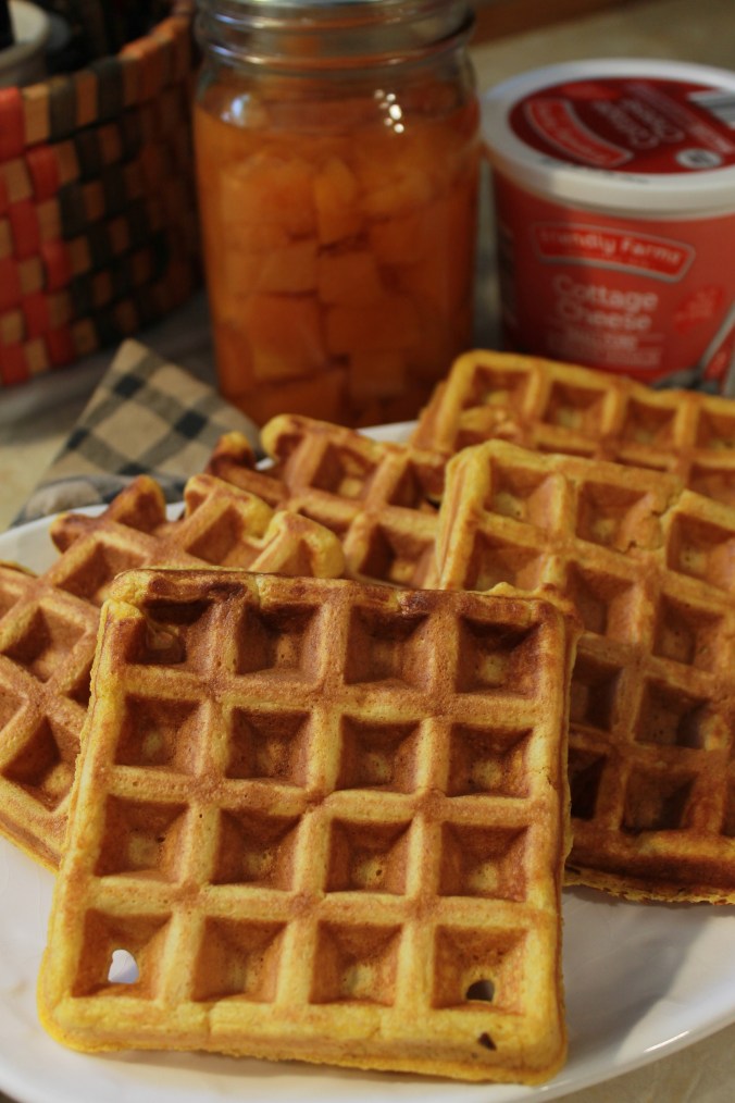Protein Waffles with Cottage Cheese, Canned Pumpkin (not&nbsp;lumpy)