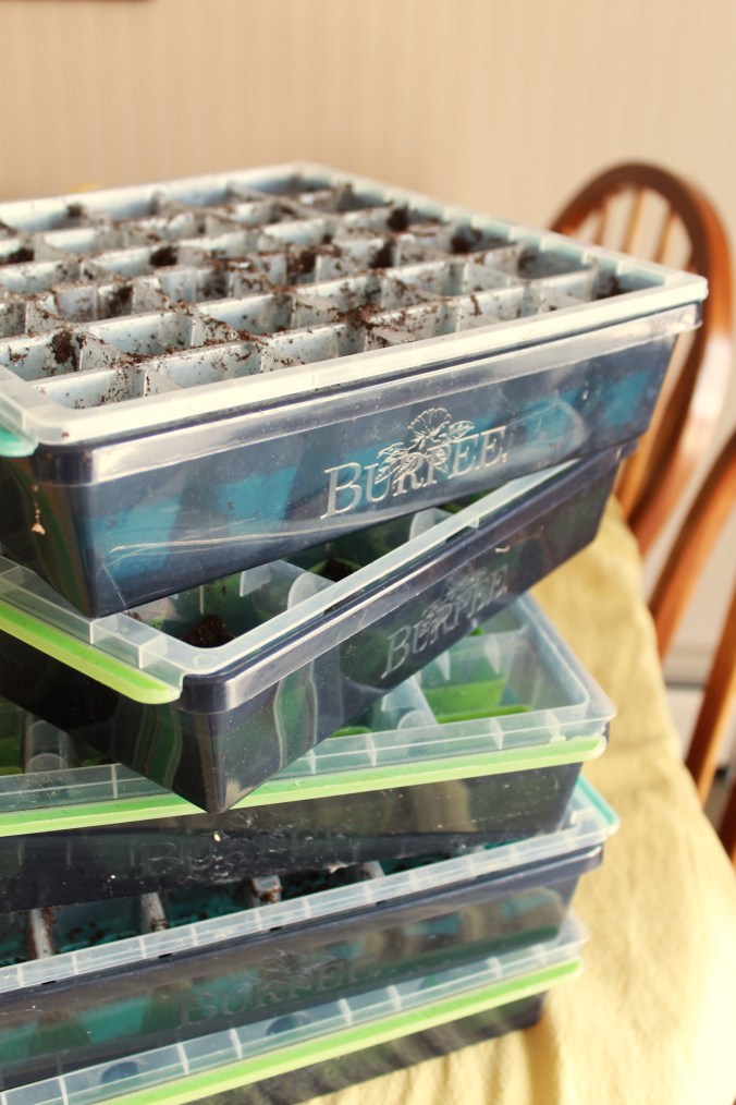 Burpee’s Reusable Seed Starting Tray Review