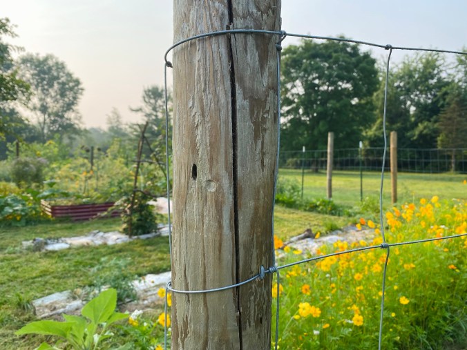 A Simple & Effective Garden&nbsp;Fence