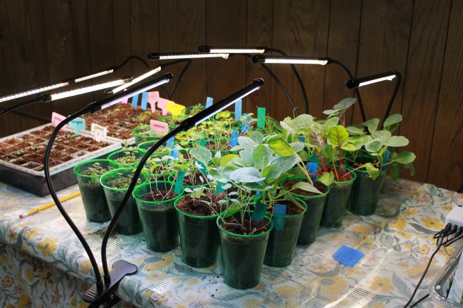 Seed Starting Set Up |  Minimal, Organized,&nbsp;Indoors